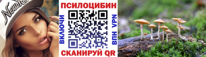 Псилоцибиновые грибы Cubensis  Демидов 